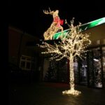 Verlichte boom Sterling 300cm - Afbeelding 7