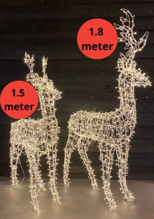 Setje verlichte rendieren Cupid en Blitzen