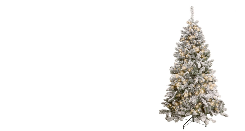 header 01