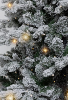 homepage kerstboom verlichting