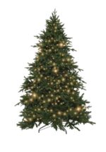 Kunstkerstboom Portland met ledverlichting 240cm