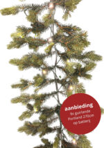 9x Guirlande Portland 270cm met ledverlichting op batterij