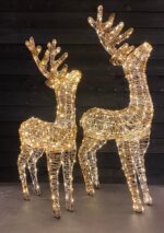 Setje verlichte rendieren Dancer en Vixen - Afbeelding 2