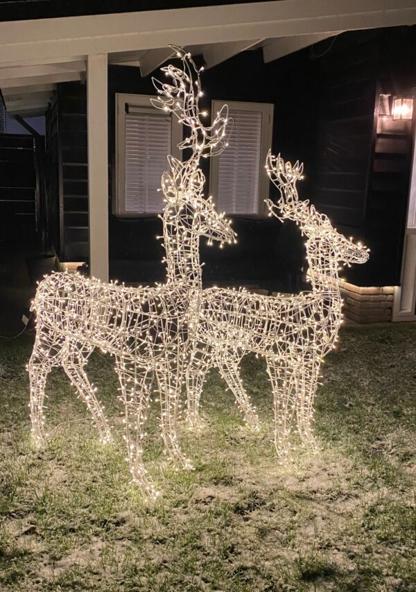 verlicht kerst hert voor buiten
