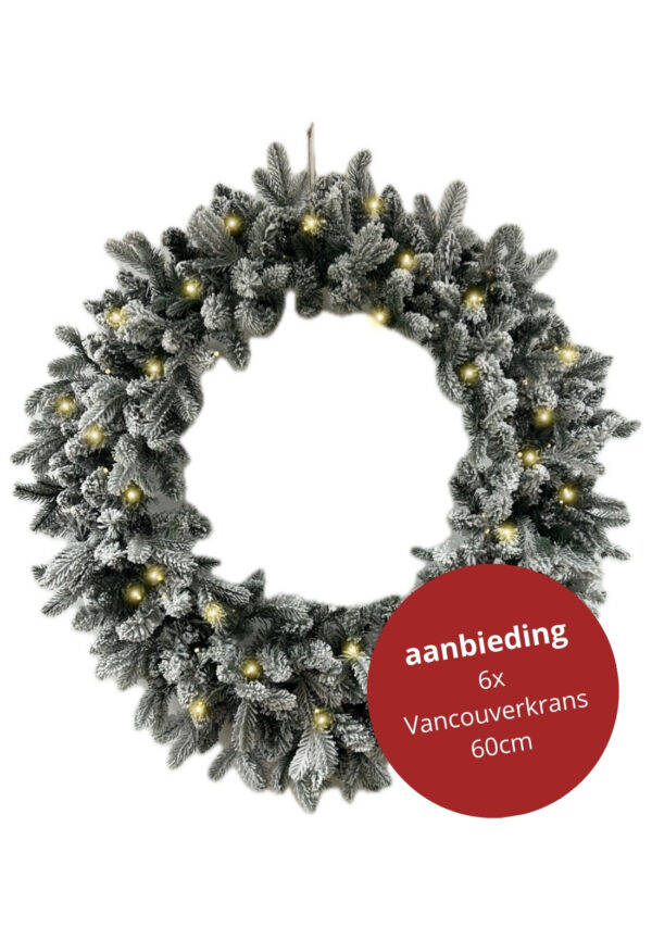 6x Kerstkrans Vancouver besneeuwd met ledverlichting 60cm