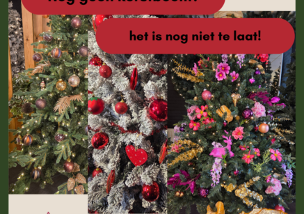 Last-minute kerstboom